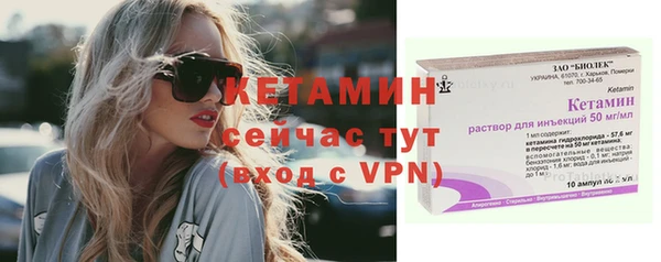 шишки Новодвинск