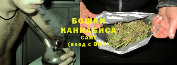шишки Новодвинск