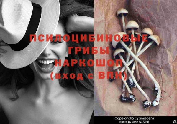 молекула духа Новокубанск