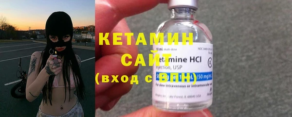 шишки Новодвинск