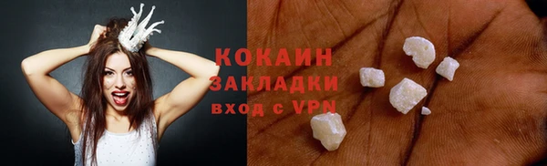 шишки Новодвинск