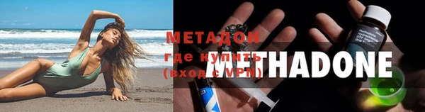 шишки Новодвинск