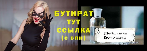 шишки Новодвинск