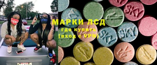 шишки Новодвинск