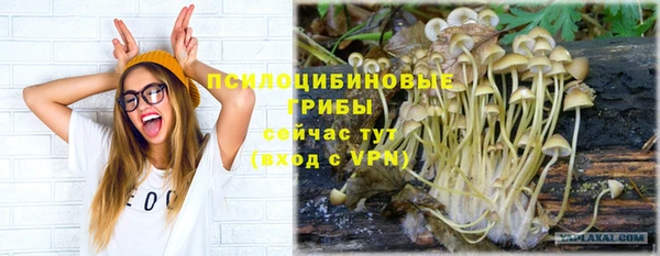 прущие грибы Болохово