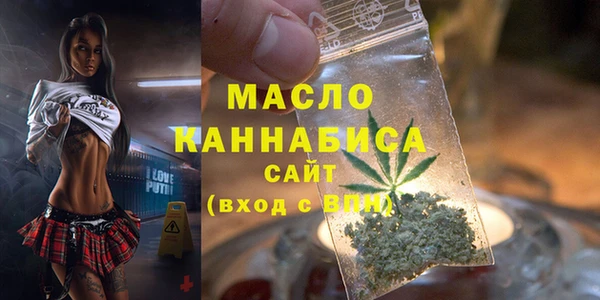 шишки Новодвинск