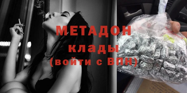 шишки Новодвинск