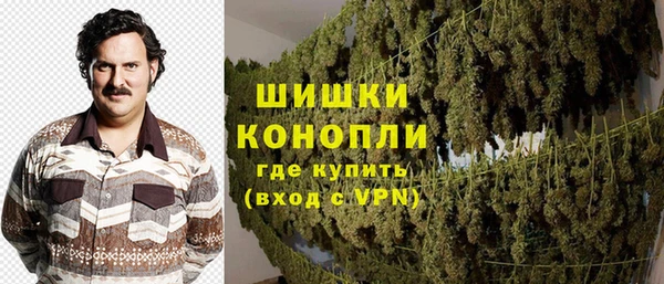 эйфоретик Новозыбков