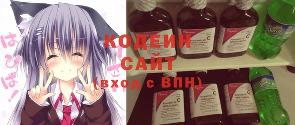 шишки Новодвинск